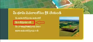 Village 1B Record