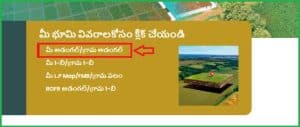 Village Adangal